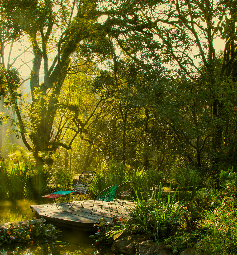 Outdoor patio in the forest of Valle de Bravo 