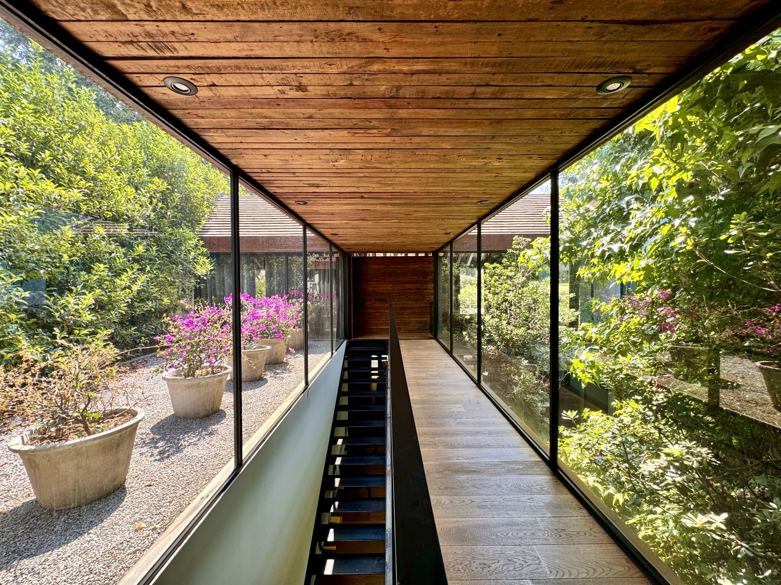 Mexican architecture highlighting how light is integrated within the design