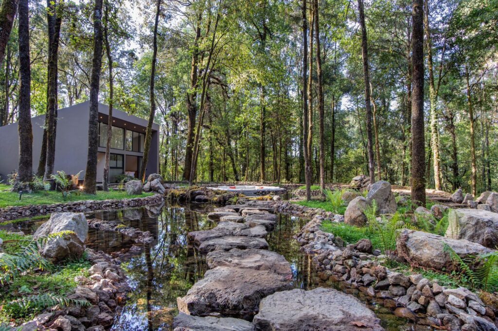 Luxury house in deep forest of Valle de Bravo